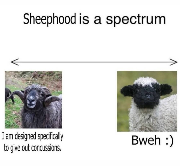 Sheephood is a spectrum I am designed specifically to give out concussions. Bweh :)