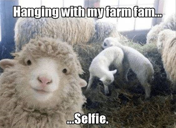 Hanging with my farm fam.. ...Selfie.