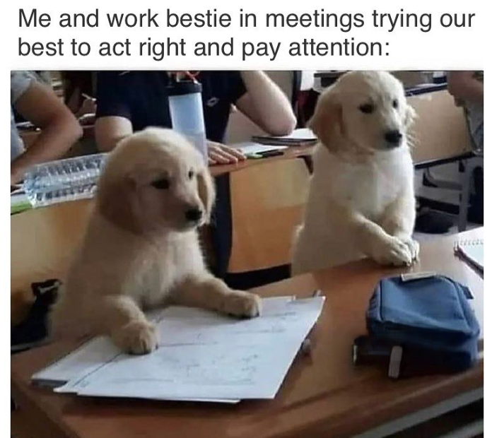 Me and work bestie in meetings trying our best to act right and pay attention: