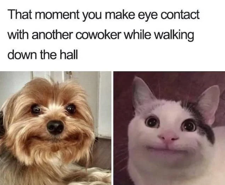 That moment you make eye contact with another cowoker while walking down the hall