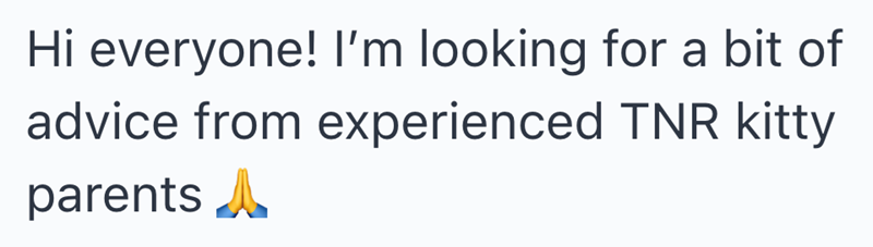 Hi everyone! I'm looking for a bit of advice from experienced TNR kitty parents A