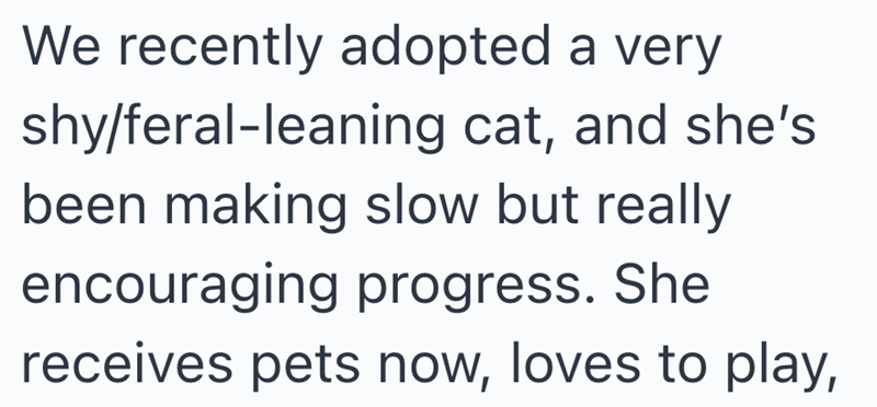 We recently adopted a very shy/feral-leaning cat, and she's been making slow but really encouraging progress. She receives pets now, loves to play,