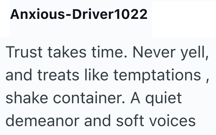 Anxious-Driver1022 Trust takes time. Never yell, and treats like temptations, shake container. A quiet demeanor and soft voices