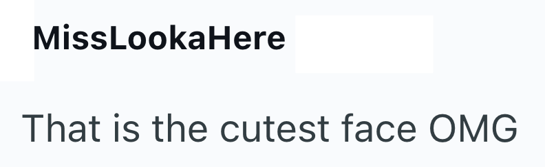 MissLookaHere That is the cutest face OMG