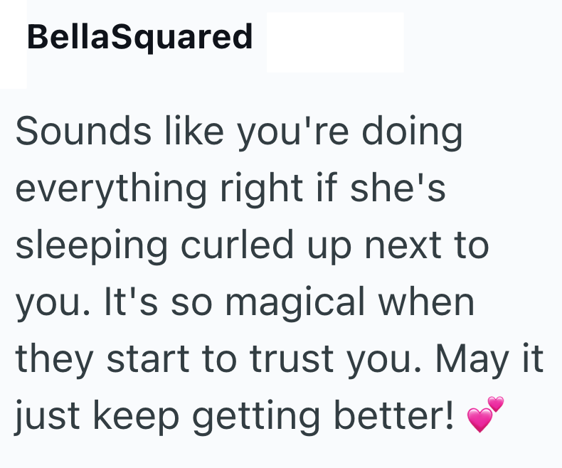 BellaSquared Sounds like you're doing everything right if she's sleeping curled up next to you. It's so magical when they start to trust you. May it just keep getting better!