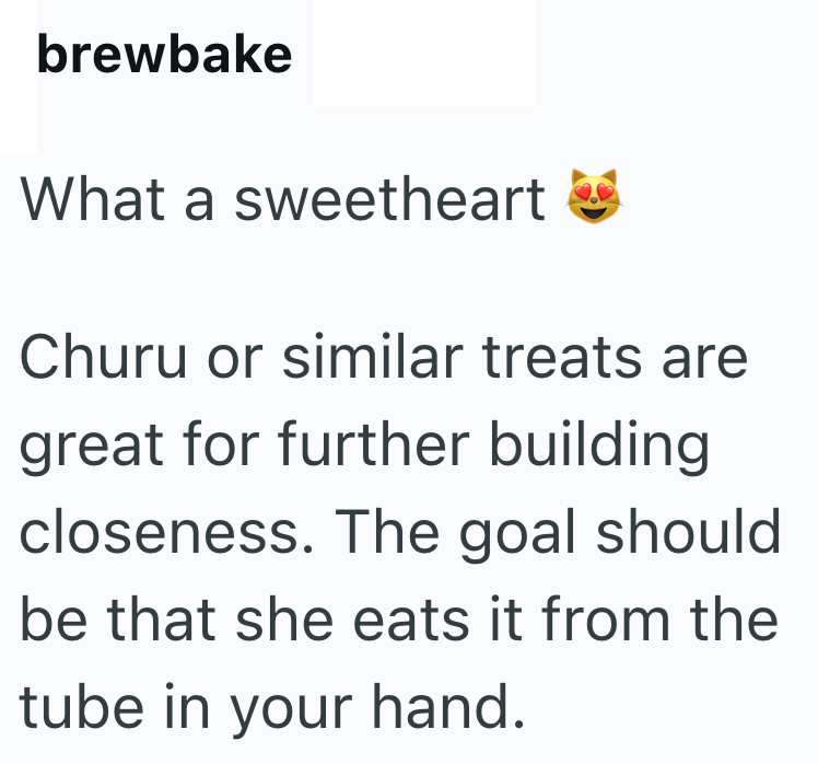 brewbake What a sweetheart Churu or similar treats are great for further building closeness. The goal should be that she eats it from the tube in your hand.