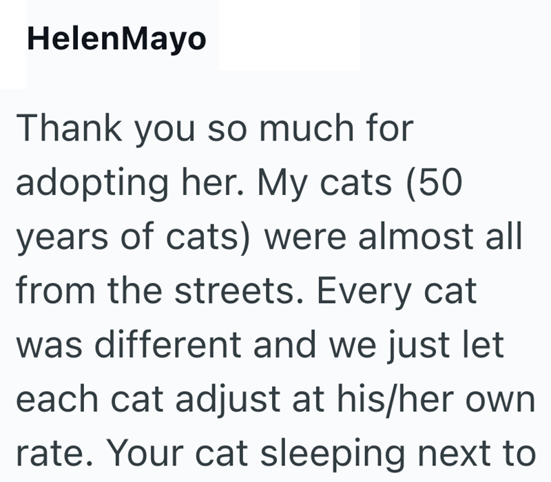HelenMayo Thank you so much for adopting her. My cats (50 years of cats) were almost all from the streets. Every cat was different and we just let each cat adjust at his/her own rate. Your cat sleeping next to