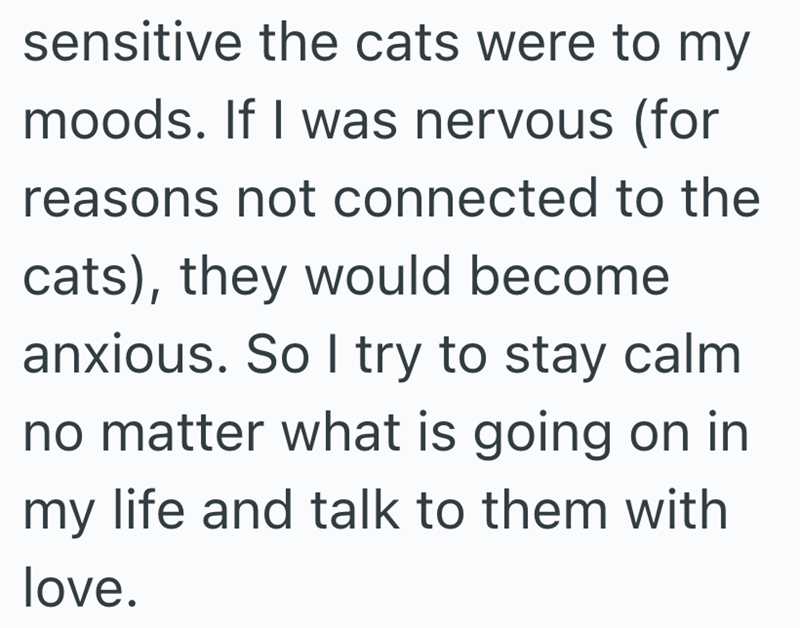 sensitive the cats were to my moods. If I was nervous (for reasons not connected to the cats), they would become anxious. So I try to stay calm no matter what is going on in my life and talk to them with love.
