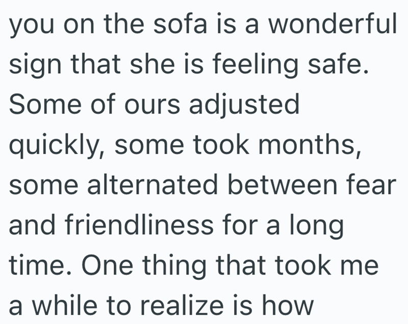 you on the sofa is a wonderful sign that she is feeling safe. Some of ours adjusted quickly, some took months, some alternated between fear and friendliness for a long time. One thing that took me a while to realize is how
