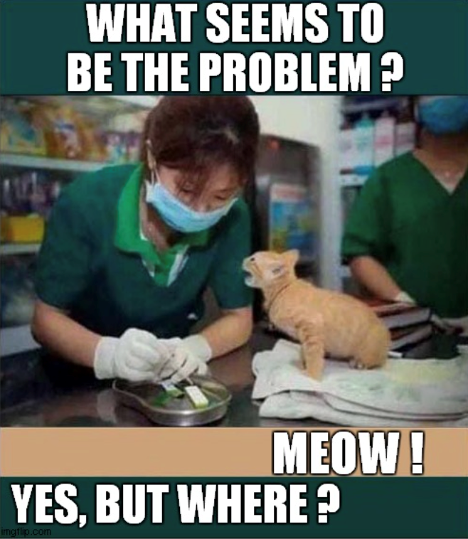WHAT SEEMS TO BE THE PROBLEM? MEOW! YES, BUT WHERE? imgflip.com