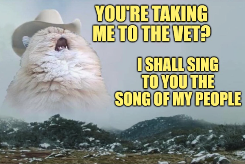 YOU'RE TAKING ME TO THE VET? I SHALL SING TO YOU THE SONG OF MY PEOPLE