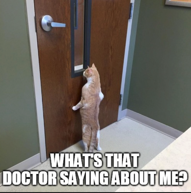 WHAT'S THAT DOCTOR SAYING ABOUT ME?