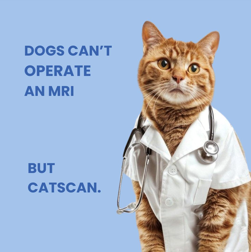 DOGS CAN'T OPERATE AN MRI BUT CATSCAN.