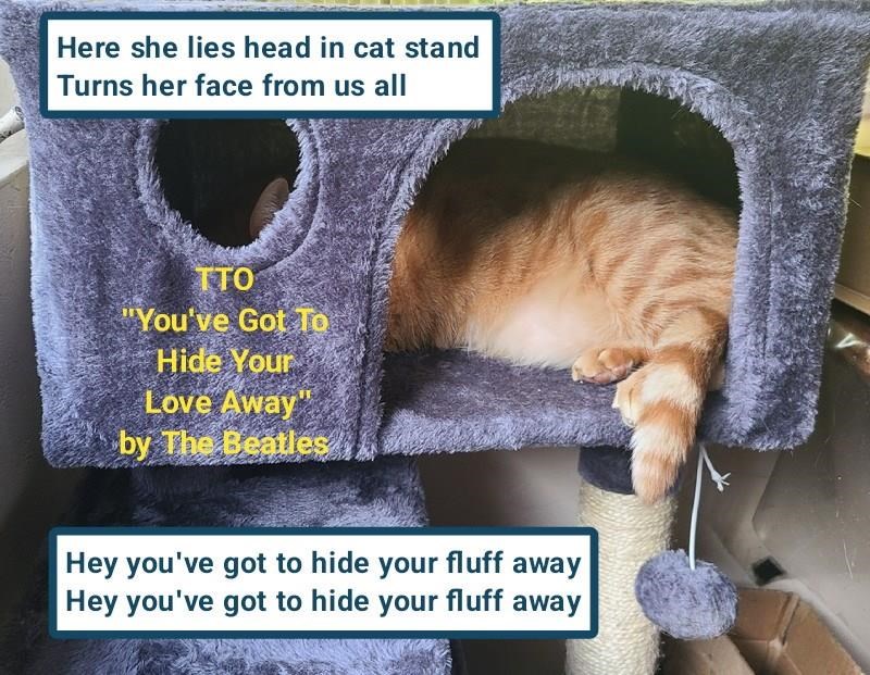 Cheezburger Image 10627023104