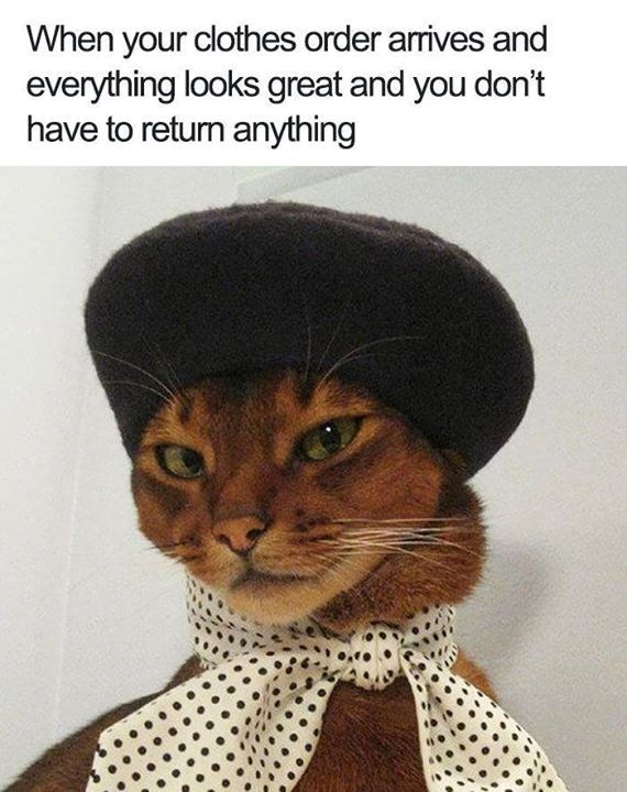 When your clothes order arrives and everything looks great and you don't have to return anything