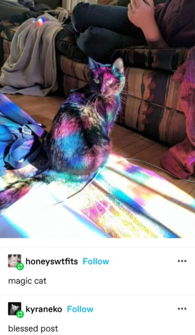 honeyswtfits Follow magic cat kyraneko Follow blessed post ...