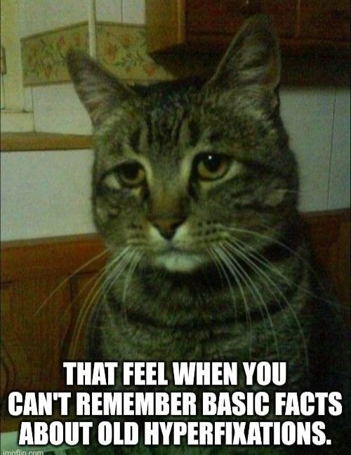 THAT FEEL WHEN YOU CAN'T REMEMBER BASIC FACTS ABOUT OLD HYPERFIXATIONS. imaflin.com