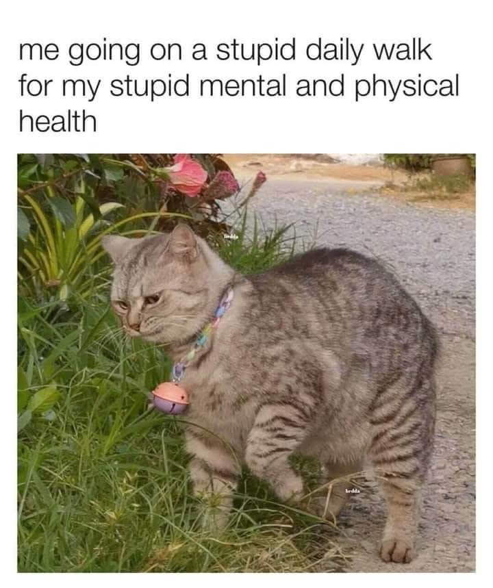 me going on a stupid daily walk for my stupid mental and physical health bedda