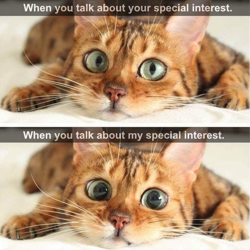 When you talk about your special interest. When you talk about my special interest.