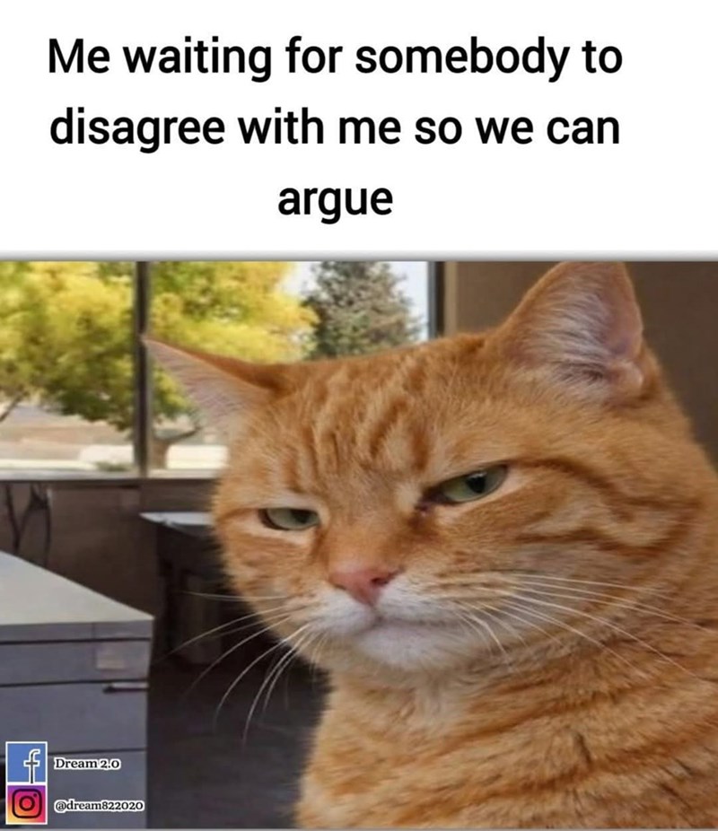 Me waiting for somebody to disagree with me so we can argue Dream 2.0 @dream822020