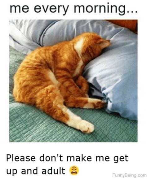 me every morning... Please don't make me get up and adult FunnyBeing.com