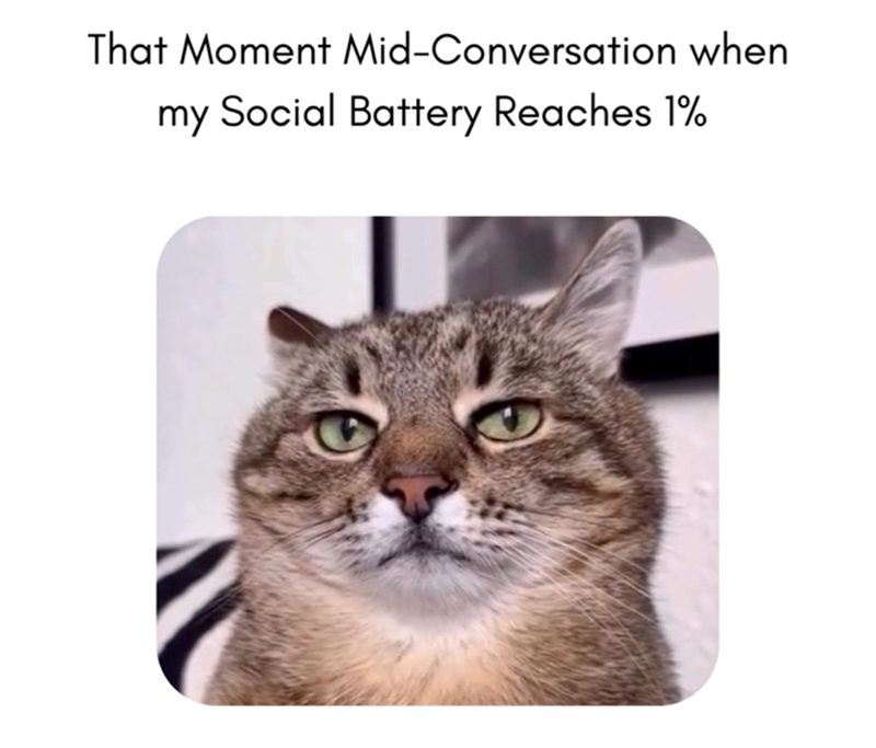 That Moment Mid-Conversation when my Social Battery Reaches 1%