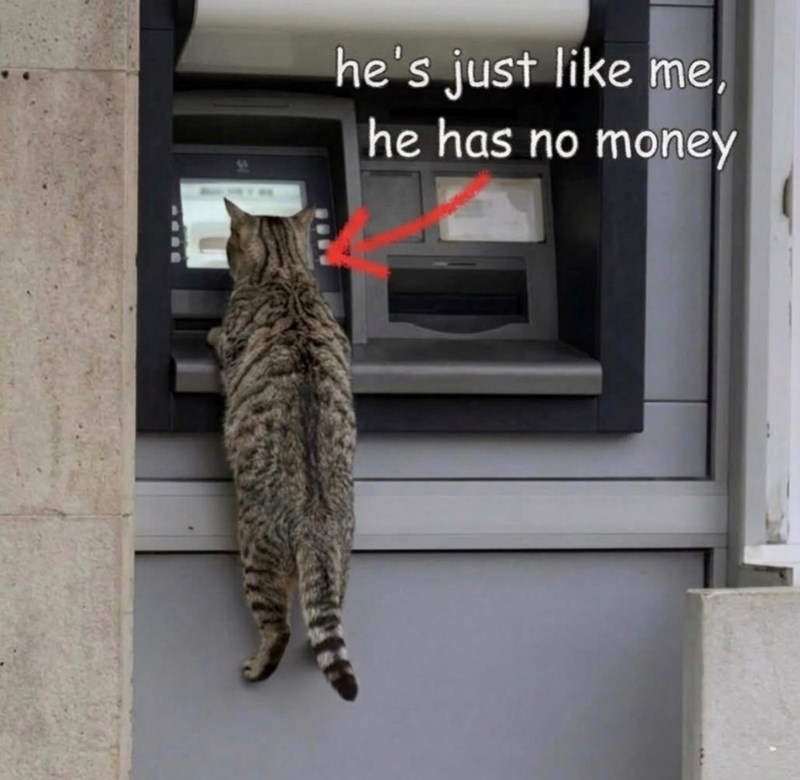 he's just like me he has no money