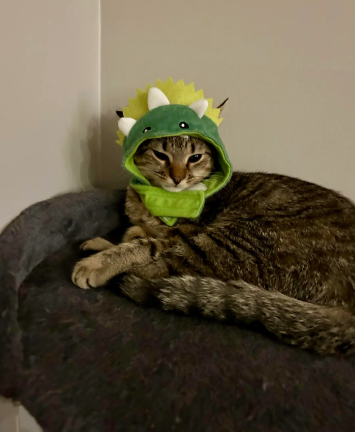 Cheezburger Image 10627030272