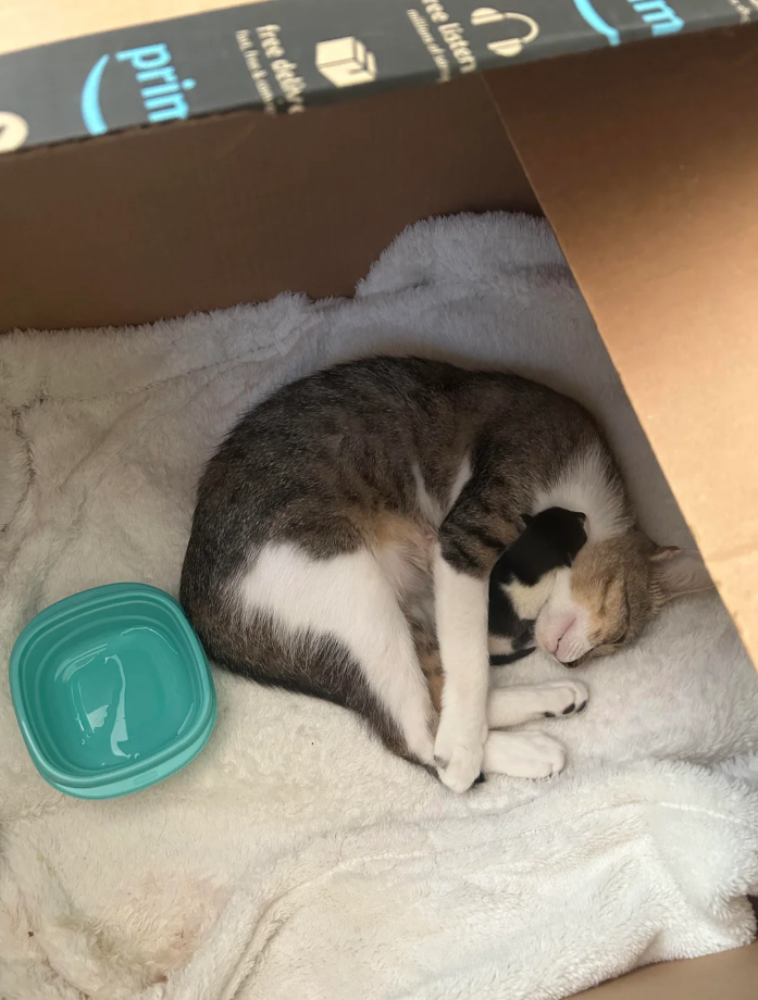 ก Free listen m free delive ffor&com prin