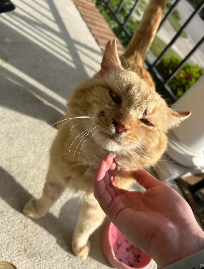 Cheezburger Image 10627031296