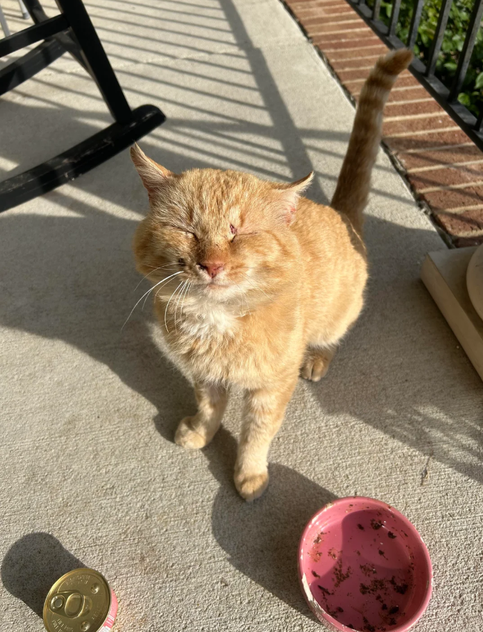 Cheezburger Image 10627031552