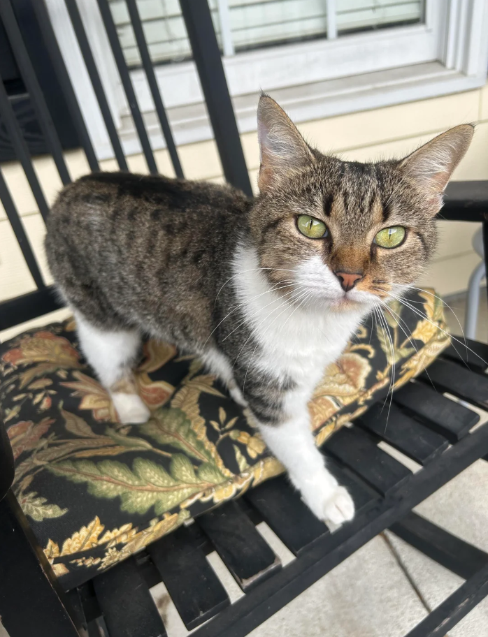 Cheezburger Image 10627031808