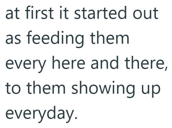 at first it started out as feeding them every here and there, to them showing up everyday.