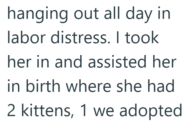 hanging out all day in labor distress. I took her in and assisted her in birth where she had 2 kittens, 1 we adopted