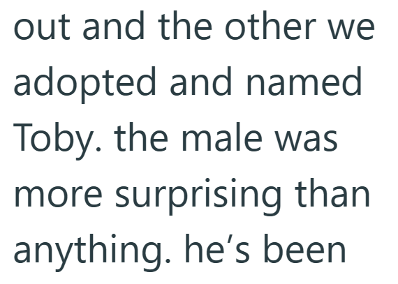 out and the other we adopted and named Toby. the male was more surprising than anything. he's been