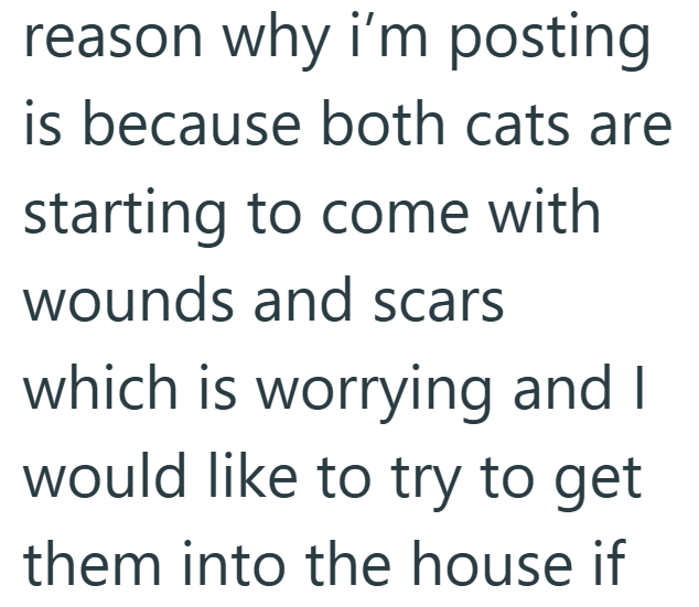 reason why i'm posting is because both cats are starting to come with wounds and scars which is worrying and I would like to try to get them into the house if
