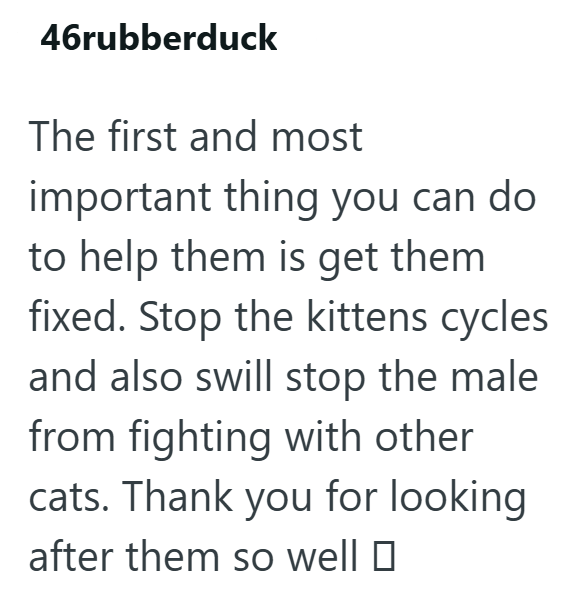 46rubberduck The first and most important thing you can do to help them is get them fixed. Stop the kittens cycles and also swill stop the male from fighting with other cats. Thank you for looking after them so well