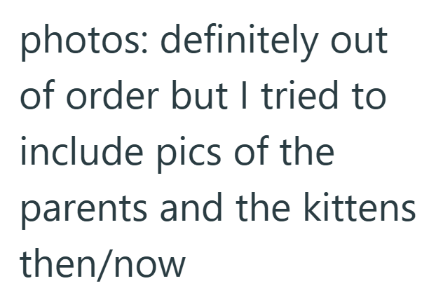 photos: definitely out of order but I tried to include pics of the parents and the kittens then/now