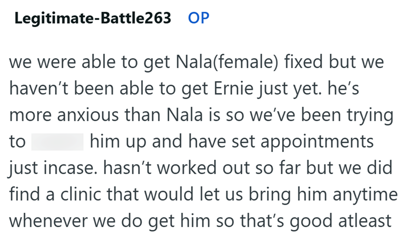 Legitimate-Battle263 OP we were able to get Nala(female) fixed but we haven't been able to get Ernie just yet. he's to more anxious than Nala is so we've been trying him up and have set appointments just incase. hasn't worked out so far but we did find a clinic that would let us bring him anytime whenever we do get him so that's good atleast