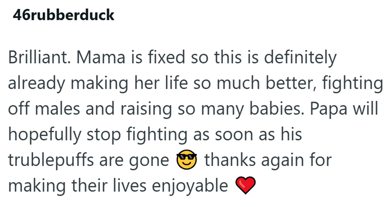 46rubberduck Brilliant. Mama is fixed so this is definitely already making her life so much better, fighting off males and raising so many babies. Papa will hopefully stop fighting as soon as his trublepuffs are gone thanks again for making their lives enjoyable