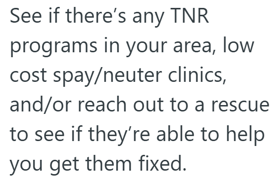 See if there's any TNR programs in your area, low cost spay/neuter clinics, and/or reach out to a rescue to see if they're able to help you get them fixed.