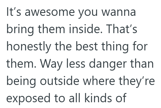 It's awesome you wanna bring them inside. That's honestly the best thing for them. Way less danger than being outside where they're exposed to all kinds of