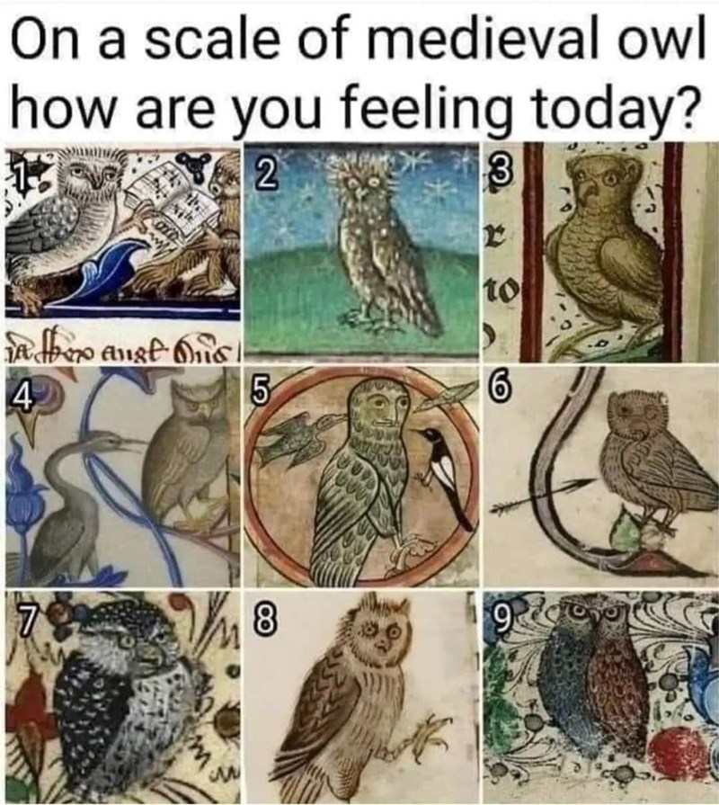 On a scale of medieval owl how are you feeling today? 2 3 to in the aust· Onist 4 5 6 7 8 9 m