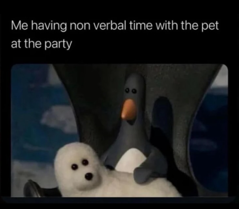 Me having non verbal time with the pet at the party