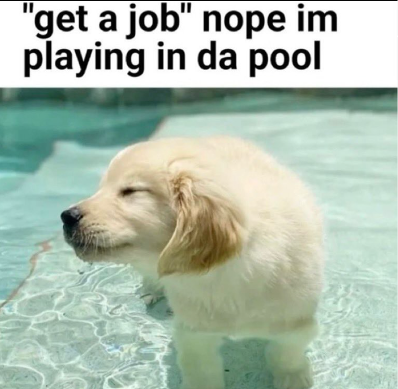 "get a job" nope im playing in da pool