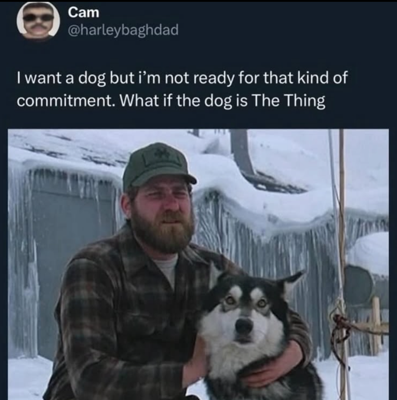 Cam @harleybaghdad I want a dog but i'm not ready for that kind of commitment. What if the dog is The Thing