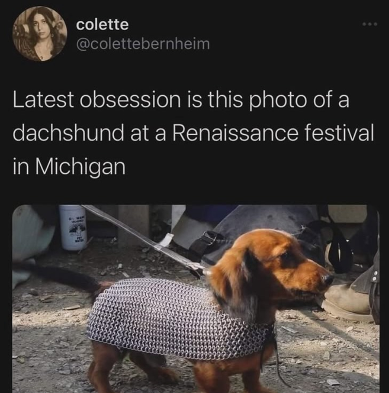 colette @colettebernheim Latest obsession is this photo of a dachshund at a Renaissance festival in Michigan ANI