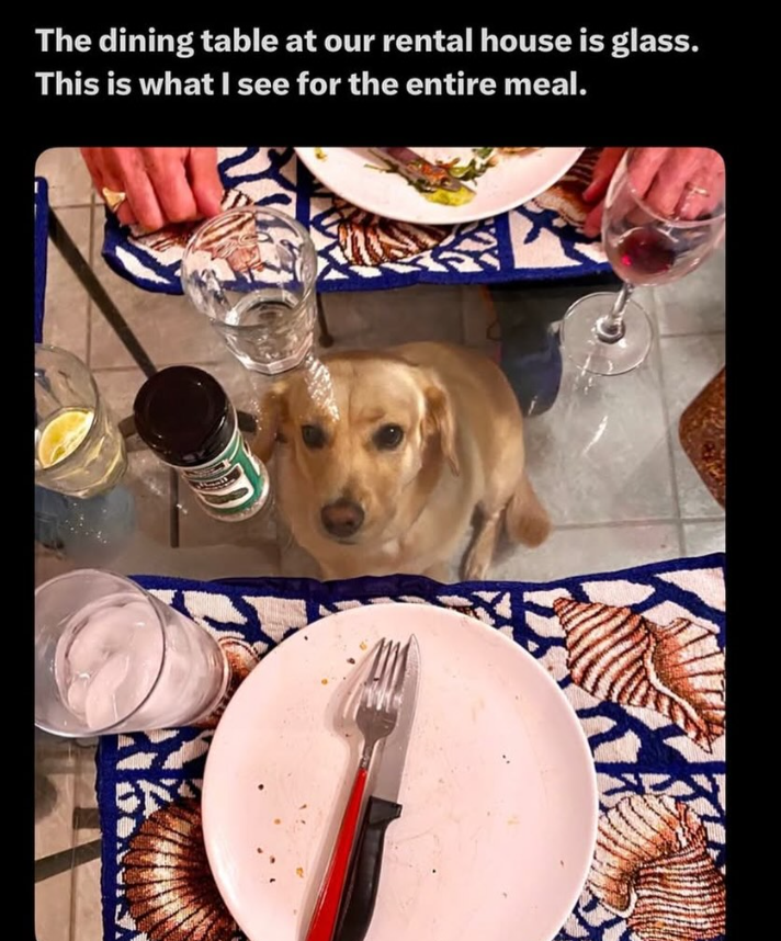 The dining table at our rental house is glass. This is what I see for the entire meal.