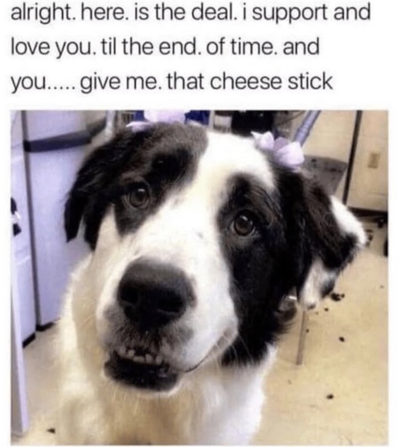alright. here. is the deal. i support and love you. til the end. of time. and you..... give me. that cheese stick