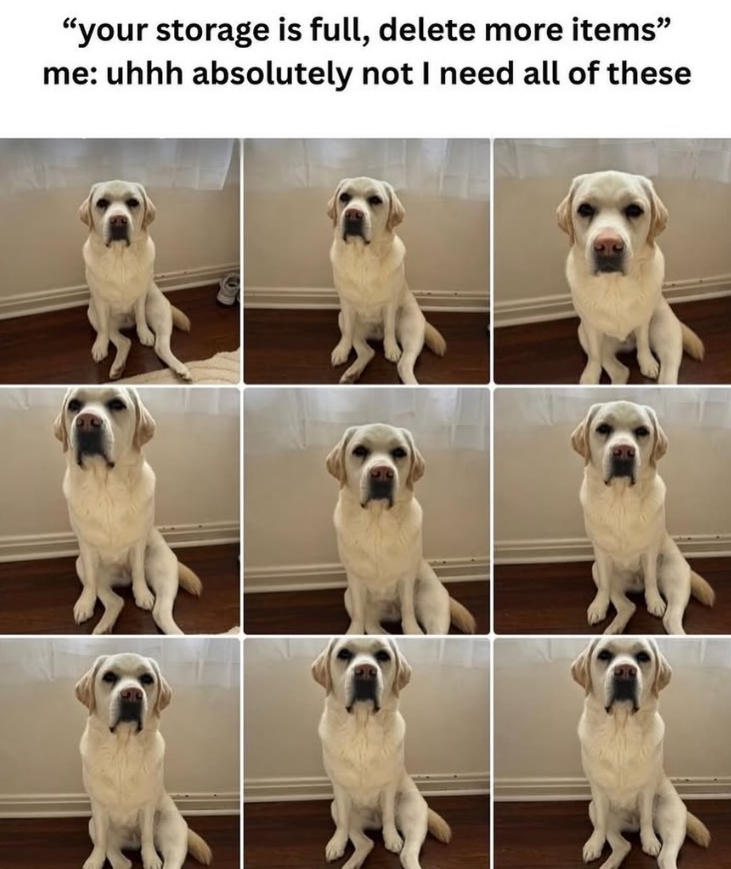 "your storage is full, delete more items" me: uhhh absolutely not I need all of these
